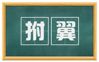 拊翼