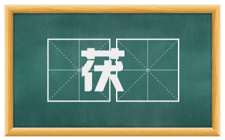 茯蕶