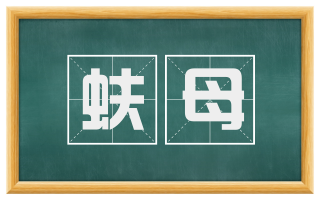 蚨母