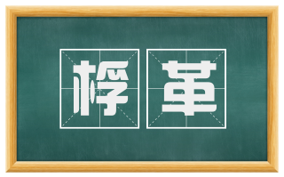 桴革