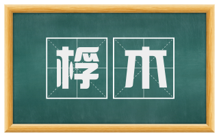 桴木