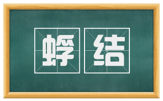 蜉结