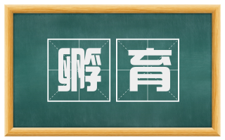 孵育
