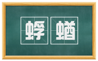 蜉蝤