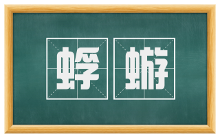 蜉蝣