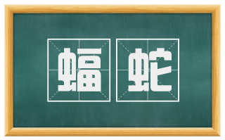 蝠蛇