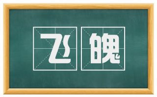 飞魄