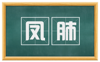 凤肺