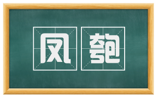 凤匏
