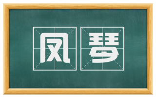 凤琴
