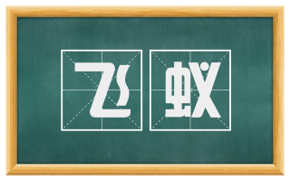 飞蚁