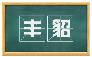丰貂