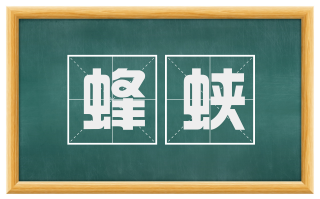 蜂蛱