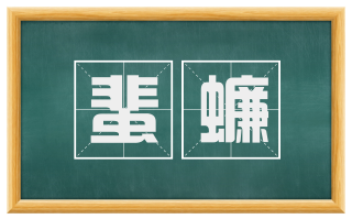 蜚蠊