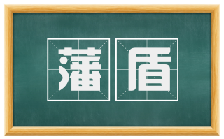藩盾