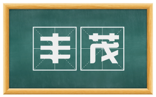 丰茂