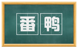 番鸭