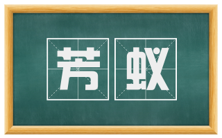 芳蚁
