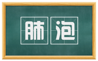 肺泡