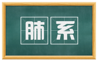 肺系