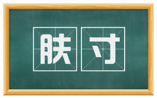 肤寸