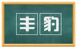 丰豹