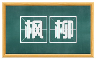 枫柳