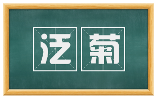 泛菊