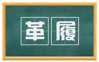 革履