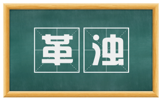 革浊