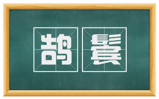 鹄鬓