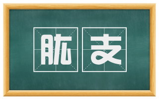 肱支