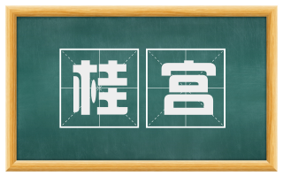 桂宫