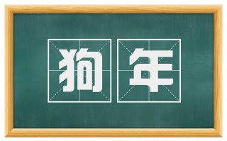 狗年