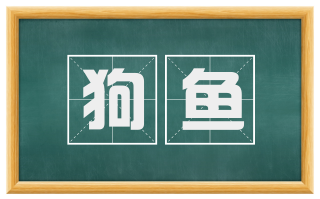 狗鱼