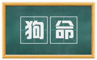 狗命