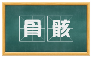 骨骸