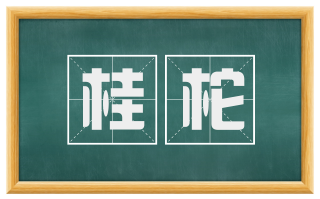 桂柁