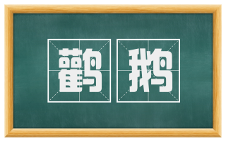 鹳鹅