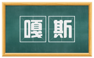嘎斯