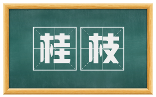 桂枝