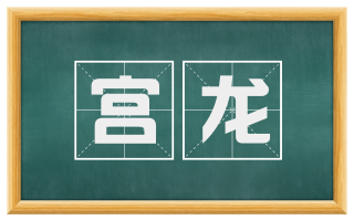 宫龙