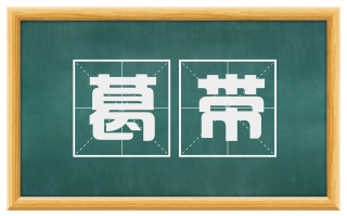 葛带