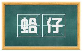 蛤仔