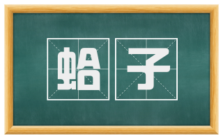 蛤子