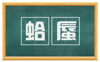 蛤蜃