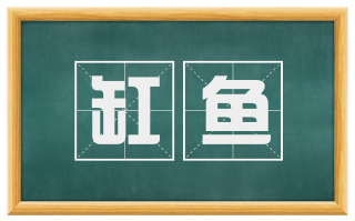 缸鱼