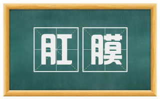 肛膜