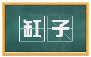 缸子