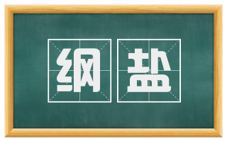 纲盐